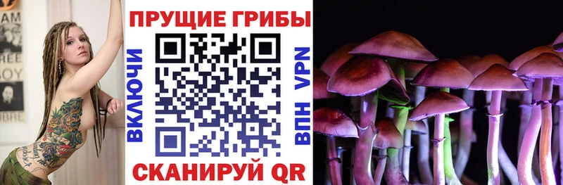 Галлюциногенные грибы Psilocybine cubensis  как найти закладки  Нестеровская 